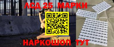 индика Славгород