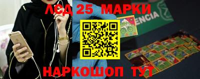 индика Славгород