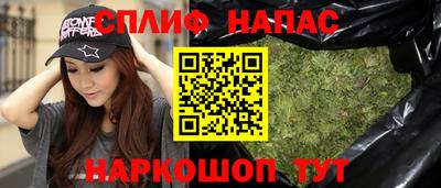 крисы Славянск-на-Кубани