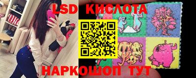 индика Славгород