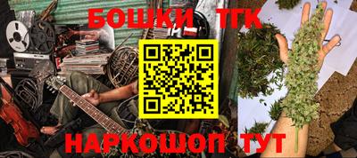 индика Славгород