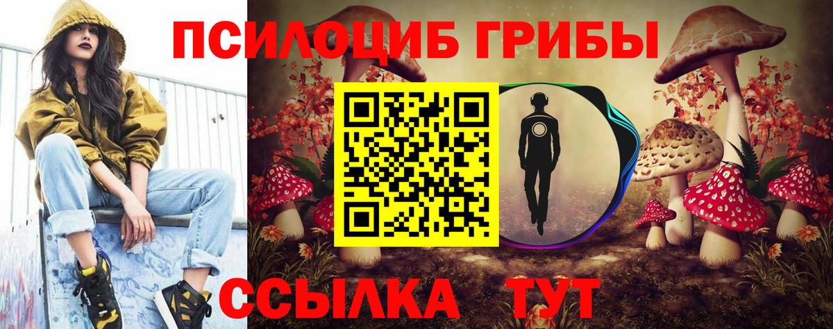 Псилоцибиновые грибы Psilocybe  Псилоцибиновые грибы мицелий  Балашиха  Вход с VPN 